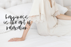 Rusticity Script Font Product Image 5