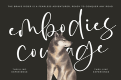 Rustol Wisket - Quirky Handwritten Font Product Image 11