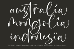 Rustol Wisket - Quirky Handwritten Font Product Image 15