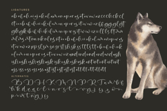 Rustol Wisket - Quirky Handwritten Font Product Image 19