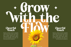 Rusty Drake - Bold Serif Display Product Image 9