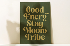 Rusty Drake - Bold Serif Display Product Image 10