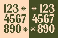 Rusty Drake - Bold Serif Display Product Image 14