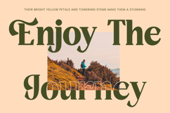 Rusty Drake - Bold Serif Display Product Image 16