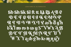 Rusty Drake - Bold Serif Display Product Image 18