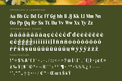 Rusty Drake - Bold Serif Display Product Image 19