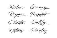 Rustyani Beauty - Stylish Signature Font Product Image 10
