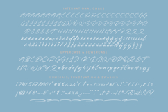 Rustyani Beauty - Stylish Signature Font Product Image 18