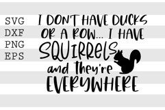 I dont have ducks or a row I have squirrels and theyre every Product Image 1
