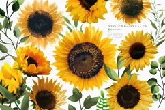 Sunflower svg png Realistic Sunflower png images, summer 082 Product Image 1