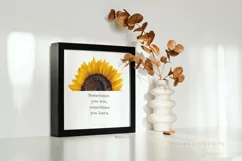 Sunflower svg png Realistic Sunflower png images, summer 082 Product Image 6