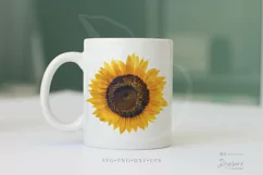 Sunflower svg png Realistic Sunflower png images, summer 082 Product Image 7