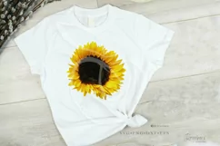 Sunflower svg png Realistic Sunflower png images, summer 082 Product Image 9