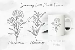 January, Birth Month flowers Svg, carnation, snowdrop 125 xx Product Image 1