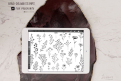 Procreate Stamps Tiny Flowers | 205 Fineline Floral art 026 Product Image 7