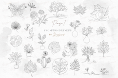 Floral Line Art illustration SVG &amp;PNG 140 minimalist art 150 Product Image 3