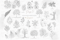 Floral Line Art illustration SVG &amp;PNG 140 minimalist art 150 Product Image 10