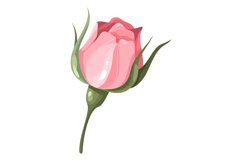 Pink flower. Delicate romantic bud. Botanical element Product Image 1
