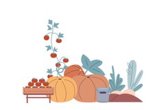 Harvest season graphic elements. Isolated pumpkins, tomatoes Product Image 1