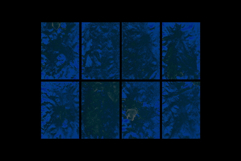 Experimental Ink Textures Collection Product Image 4