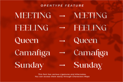 Sacristy | A Classy and Elegant Serif Font Product Image 12