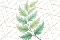 Pastel Safari Baby Animals Clipart PNG, Nursery Watercolor Product Image 5