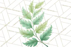 Pastel Safari Baby Animals Clipart PNG, Nursery Watercolor Product Image 5