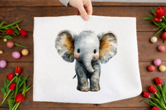 Safari Animals Clipart Product Image 2