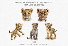 watercolor cute African Baby Zebra, Safari Animals clipart, Savanna Lion, giraffe, leopard, Rhino Safari Baby Animals Giraffe Lion Zebra Clipart Savanna PNG Image Watercolor Transparent Print invitation t-shirt designs sublimation kids printable digital