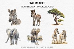 watercolor cute African Baby Zebra, Safari Animals clipart, Savanna Lion, giraffe, leopard, Rhino Safari Baby Animals Giraffe Lion Zebra Clipart Savanna PNG Image Watercolor Transparent Print invitation t-shirt designs sublimation kids printable digital