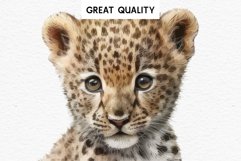 watercolor cute African Baby Zebra, Safari Animals clipart, Savanna Lion, giraffe, leopard, Rhino Safari Baby Animals Giraffe Lion Zebra Clipart Savanna PNG Image Watercolor Transparent Print invitation t-shirt designs sublimation kids printable digital