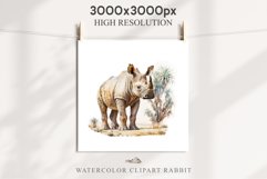 Safari Baby Zebra African Animals Clipart Savanna PNG Image Image Watercolor  Transparent Print invitation t-shirt designs sublimation kids printable digital watercolor cute African Baby Zebra, Safari Animals clipart, sublimation nursery drawing Savanna