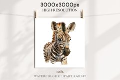 Safari Baby Zebra African Animals Clipart Savanna PNG Image Image Watercolor  Transparent Print invitation t-shirt designs sublimation kids printable digital watercolor cute African Baby Zebra, Safari Animals clipart, sublimation nursery drawing Savanna