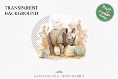 Safari Baby Zebra African Animals Clipart Savanna PNG Image Image Watercolor  Transparent Print invitation t-shirt designs sublimation kids printable digital watercolor cute African Baby Zebra, Safari Animals clipart, sublimation nursery drawing Savanna