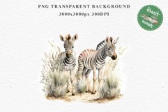 Safari Baby Zebra African Animals Clipart Savanna PNG Image Image Watercolor  Transparent Print invitation t-shirt designs sublimation kids printable digital watercolor cute African Baby Zebra, Safari Animals clipart, sublimation nursery drawing Savanna