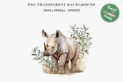 Safari Baby Zebra African Animals Clipart Savanna PNG Image Image Watercolor  Transparent Print invitation t-shirt designs sublimation kids printable digital watercolor cute African Baby Zebra, Safari Animals clipart, sublimation nursery drawing Savanna