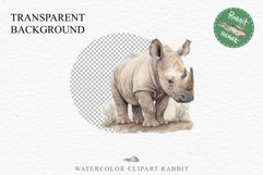 Safari Baby Zebra African Animals Clipart Savanna PNG Image Image Watercolor  Transparent Print invitation t-shirt designs sublimation kids printable digital watercolor cute African Baby Zebra, Safari Animals clipart, sublimation nursery drawing Savanna