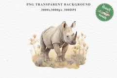 Safari Baby Zebra African Animals Clipart Savanna PNG Image Image Watercolor  Transparent Print invitation t-shirt designs sublimation kids printable digital watercolor cute African Baby Zebra, Safari Animals clipart, sublimation nursery drawing Savanna