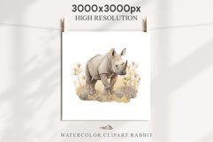 Safari Baby Zebra African Animals Clipart Savanna PNG Image Image Watercolor  Transparent Print invitation t-shirt designs sublimation kids printable digital watercolor cute African Baby Zebra, Safari Animals clipart, sublimation nursery drawing Savanna