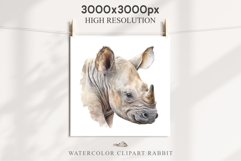 Safari Baby Zebra African Animals Clipart Savanna PNG Image Image Watercolor  Transparent Print invitation t-shirt designs sublimation kids printable digital watercolor cute African Baby Zebra, Safari Animals clipart, sublimation nursery drawing Savanna
