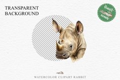 Safari Baby Zebra African Animals Clipart Savanna PNG Image Image Watercolor  Transparent Print invitation t-shirt designs sublimation kids printable digital watercolor cute African Baby Zebra, Safari Animals clipart, sublimation nursery drawing Savanna
