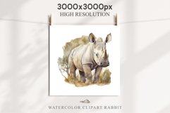 Safari Baby Zebra African Animals Clipart Savanna PNG Image Image Watercolor  Transparent Print invitation t-shirt designs sublimation kids printable digital watercolor cute African Baby Zebra, Safari Animals clipart, sublimation nursery drawing Savanna