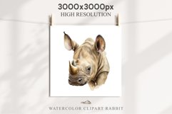 Safari Baby Zebra African Animals Clipart Savanna PNG Image Image Watercolor  Transparent Print invitation t-shirt designs sublimation kids printable digital watercolor cute African Baby Zebra, Safari Animals clipart, sublimation nursery drawing Savanna