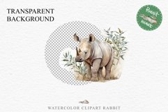 Safari Baby Zebra African Animals Clipart Savanna PNG Image Image Watercolor  Transparent Print invitation t-shirt designs sublimation kids printable digital watercolor cute African Baby Zebra, Safari Animals clipart, sublimation nursery drawing Savanna