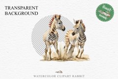 Safari Baby Zebra African Animals Clipart Savanna PNG Image Image Watercolor  Transparent Print invitation t-shirt designs sublimation kids printable digital watercolor cute African Baby Zebra, Safari Animals clipart, sublimation nursery drawing Savanna