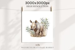 Safari Baby Zebra African Animals Clipart Savanna PNG Image Image Watercolor  Transparent Print invitation t-shirt designs sublimation kids printable digital watercolor cute African Baby Zebra, Safari Animals clipart, sublimation nursery drawing Savanna