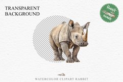Safari Baby Zebra African Animals Clipart Savanna PNG Image Image Watercolor  Transparent Print invitation t-shirt designs sublimation kids printable digital watercolor cute African Baby Zebra, Safari Animals clipart, sublimation nursery drawing Savanna
