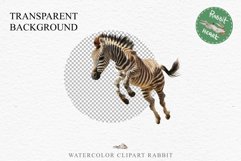 Safari Baby Zebra African Animals Clipart Savanna PNG Image Image Watercolor  Transparent Print invitation t-shirt designs sublimation kids printable digital watercolor cute African Baby Zebra, Safari Animals clipart, sublimation nursery drawing Savanna