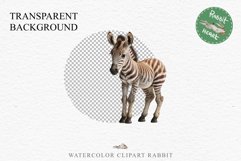 Safari Baby Zebra African Animals Clipart Savanna PNG Image Image Watercolor  Transparent Print invitation t-shirt designs sublimation kids printable digital watercolor cute African Baby Zebra, Safari Animals clipart, sublimation nursery drawing Savanna