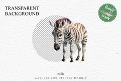 Safari Baby Zebra African Animals Clipart Savanna PNG Image Image Watercolor  Transparent Print invitation t-shirt designs sublimation kids printable digital watercolor cute African Baby Zebra, Safari Animals clipart, sublimation nursery drawing Savanna